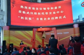 首批武漢股權(quán)托管交易中心“科技板”掛牌企業(yè)
